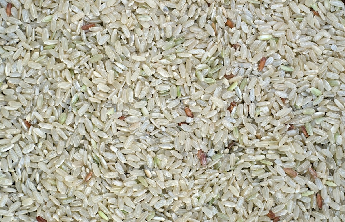 Guía completa de carbohidratos complejos